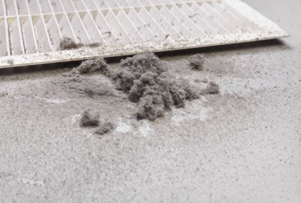 Best Commercial Air Duct Cleaning  in Lake Lifornia, CA